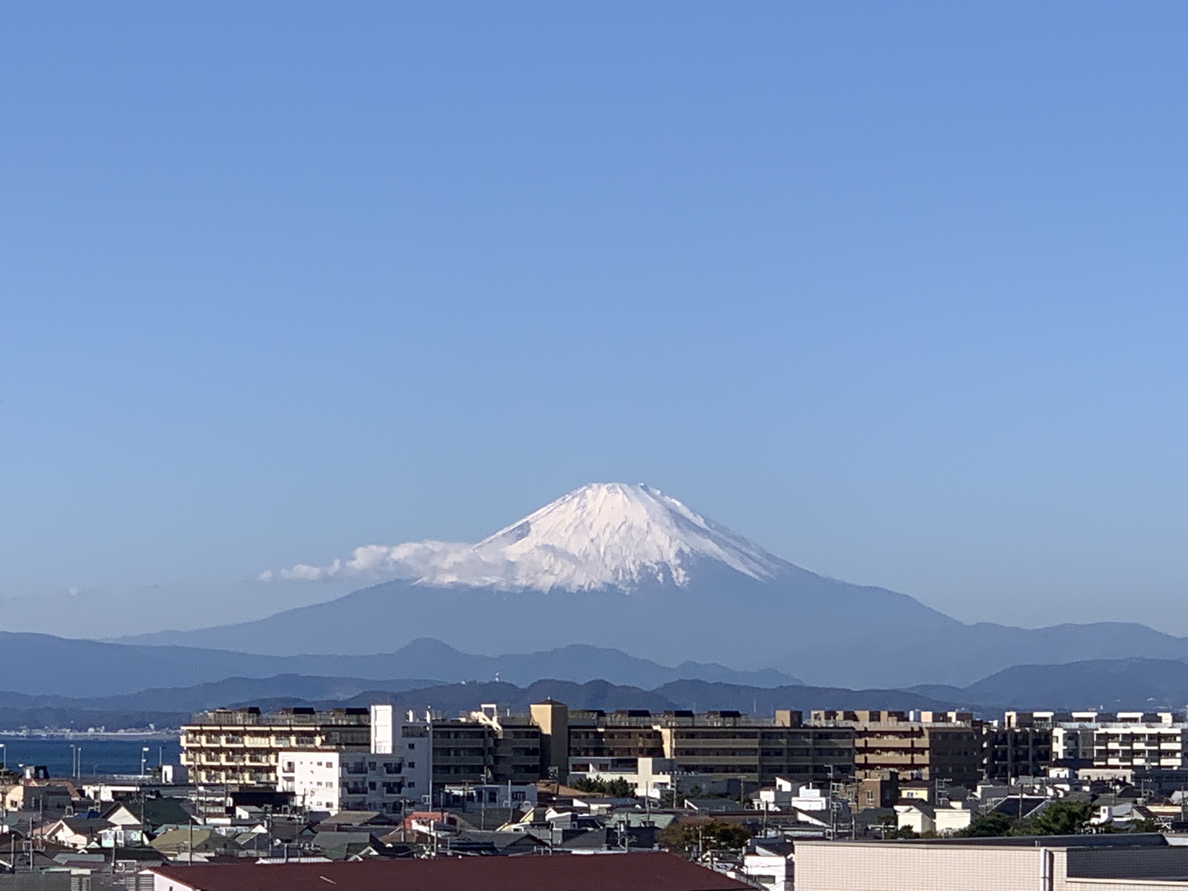 本年も宜しくお願い申し上げます。