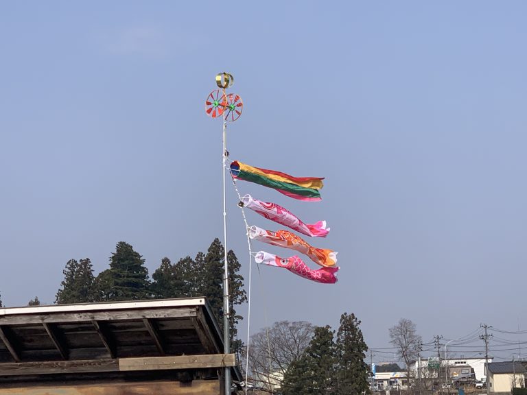 こいのぼりが元気に泳いでいます。